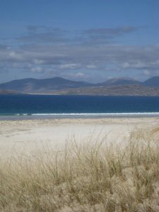 26405_411549671409_4240225_n