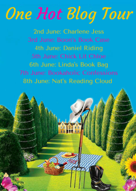 One Hot Blog Tour (2)