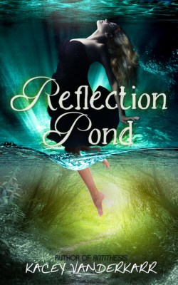 Reflection-Pond-ebook-1-Van 1