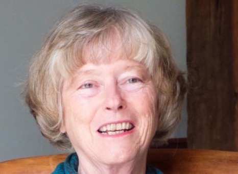 erica blue for book tour blog1