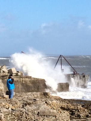 portland-crane-kate-kelly-1