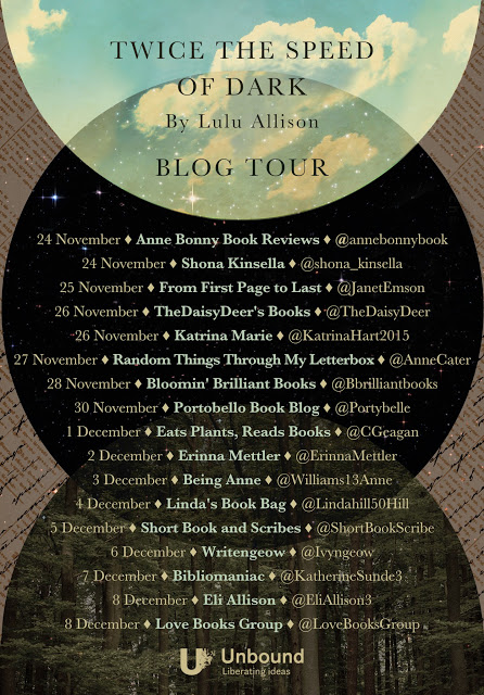 blog tour poster