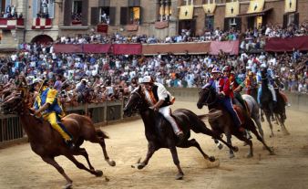palio