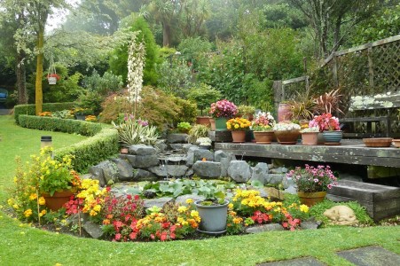 Garden from top step