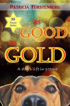 AsGoodAsGold-PatFurstenberg-BookCover
