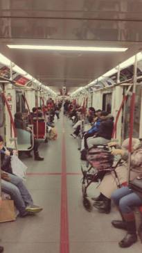 By The Next Pause Chapter Playlist Cover (Spotify)