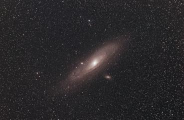 M31