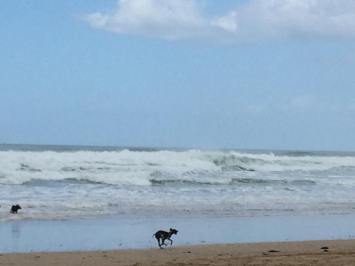 32385559_10216172400013627_321504720449437696_n