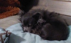 19A825A9562944F3BB25577613381139