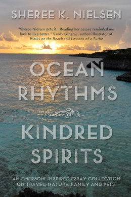 Ocean Rhythms eBook Cover Large