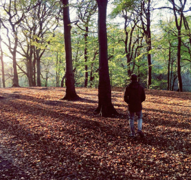 Screen Shot 2018-11-15 at 07.58.22