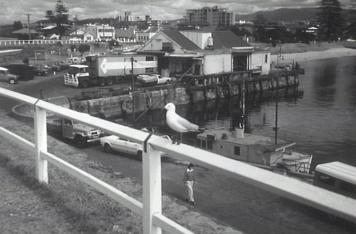 WgongHarbour1970WgonglibraryImage