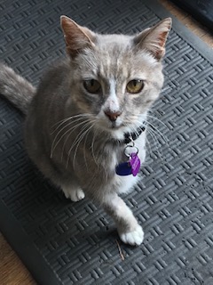 56070385090__D1BAD23D-790D-4B39-8186-E5D45AE8F604