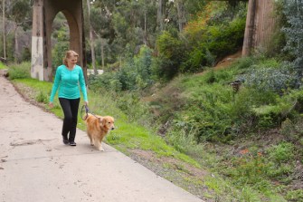 Lindas Book Bag - DogWalking-LindasBookBag