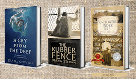 CC5BC15936364883A324624671CA9157