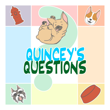 QuinceyQuestions