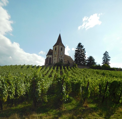 Content for Linda's Book Bag - DSCN0882 (3)