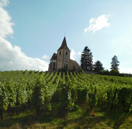 Content for Linda's Book Bag - DSCN0882 (3)